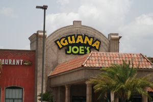 Recent Case of Food Poisoning from Iguana Joe's